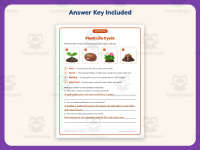 Life Cycle of Plants Matching Worksheet – 3rd Grade Science Practice preview 3