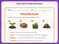 Life Cycle of Plants Matching Worksheet – 3rd Grade Science Practice preview 4