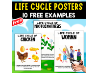 Product image #0