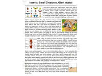 Product image #1