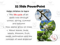 Product image #1