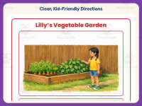 Lilly’s Vegetable Garden Reading Comprehension Worksheet – 3rd Grade preview 4