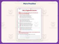 Lilly’s Vegetable Garden Reading Comprehension Worksheet – 3rd Grade preview 7