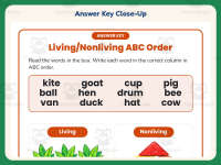 Living and Non-Living Things ABC Order Worksheet – 1st Grade Practice preview 7