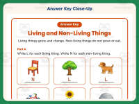Living and Non-Living Things Sort Worksheet – 1st Grade Science preview 7