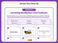 Locating Nonfiction Text Features Worksheet – 3rd Grade Grammar preview 7
