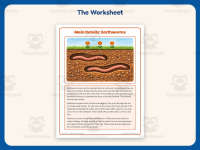 Main Details Earthworms Worksheet – 2nd Grade Main Idea Practice preview 2