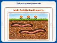 Main Details Earthworms Worksheet – 2nd Grade Main Idea Practice preview 4
