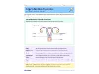 Male & Female Reproductive Systems – Health Unit preview