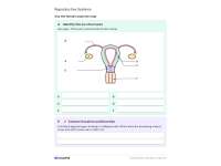 Male & Female Reproductive Systems – Health Unit preview 4