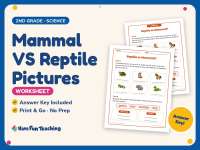 Mammal VS Reptile Pictures Worksheet – 2nd Grade Animals Practice preview