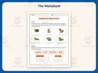 Mammal VS Reptile Pictures Worksheet – 2nd Grade Animals Practice preview 2