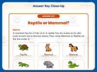 Mammal VS Reptile Pictures Worksheet – 2nd Grade Animals Practice preview 7