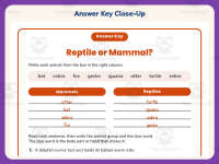 Mammal VS Reptile Worksheet – 3rd Grade Animals & Classification preview 7