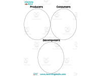 Product image #1