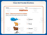 Matching Animal Habitats Worksheet – 2nd Grade Animals & Environments preview 4