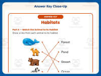 Matching Animal Habitats Worksheet – 2nd Grade Animals & Environments preview 7
