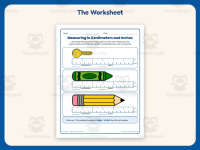 Measuring in Centimeters and Inches Worksheet – 2nd Grade Measurement preview 2