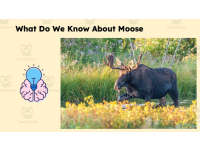Product image #5