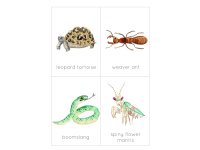 Product image #3