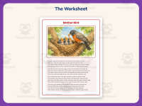 Mother Bird Reading Comprehension Worksheet – 3rd Grade Animals preview 2