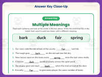 Multiple Meanings Words Worksheet – 3rd Grade Homophones Practice preview 7