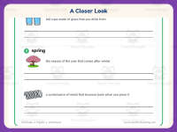 Multiple Meanings Writing Sentences Worksheet – 3rd Grade Homonyms preview 3