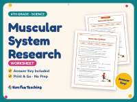 Muscular System Research Worksheet – 4th Grade Anatomy & Human Body preview
