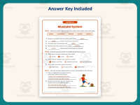 Muscular System Research Worksheet – 4th Grade Anatomy & Human Body preview 3