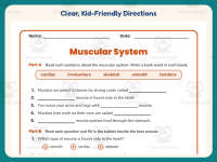 Muscular System Research Worksheet – 4th Grade Anatomy & Human Body preview 4