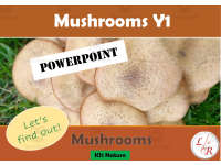 Product image #0