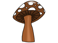 Product image #1