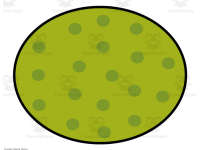 Product image #1