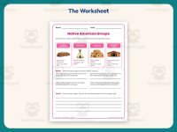 Native American Groups Worksheet – 4th Grade History Practice preview 2