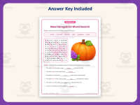 New Hampshire Word Search Worksheet – 3rd Grade States Practice preview 3
