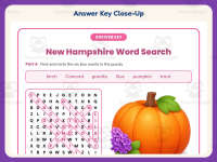 New Hampshire Word Search Worksheet – 3rd Grade States Practice preview 7