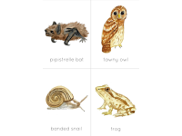 Product image #3