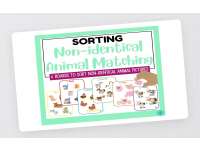 Non-identical Animal Matching preview