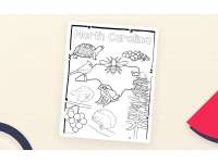 North Carolina State Symbols – Clip Art Set preview