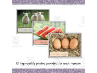 Product image #1