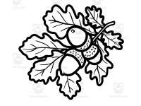 Product image #1