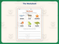 Ocean Animal Habitat Worksheet – 1st Grade Animals & Oceans Practice preview 2