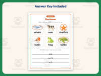 Ocean Animal Habitat Worksheet – 1st Grade Animals & Oceans Practice preview 3