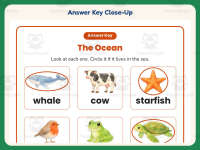 Ocean Animal Habitat Worksheet – 1st Grade Animals & Oceans Practice preview 7