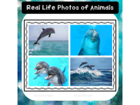 Product image #1