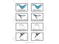 Product image #1