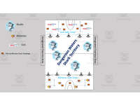 Product image #1