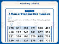 Odd Number Bee Maze Worksheet – 2nd Grade Even and Odd Practice preview 7