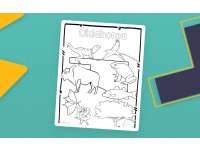 Oklahoma State Symbols Clip Art preview