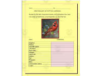 Product image #0
